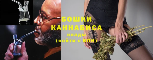 прущие грибы Абдулино