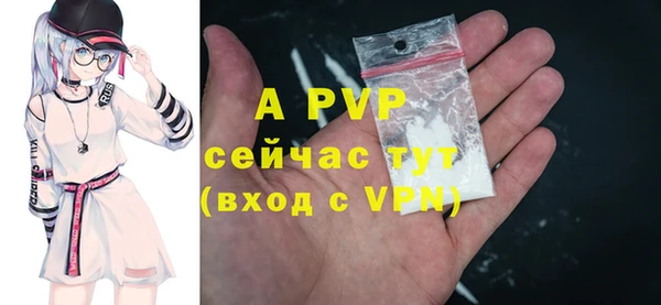 прущие грибы Абдулино