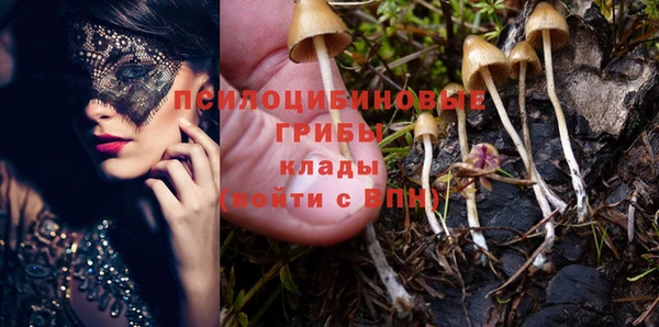 прущие грибы Абдулино