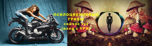 крисы Абаза