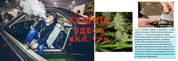прущие грибы Абдулино