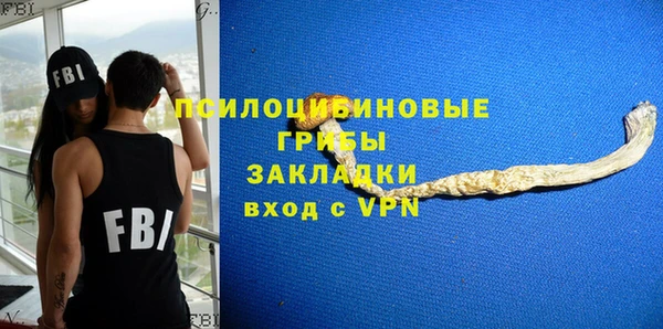 прущие грибы Абдулино